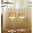 Jogo 6 Taças Para Champanhe Xtra Cristal Ecologico Bohemia